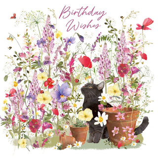 Female Birthday Cards