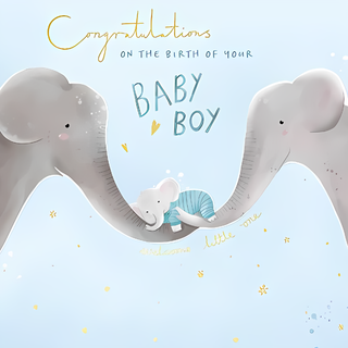 Birth Congratulations Boy - Greeting Card