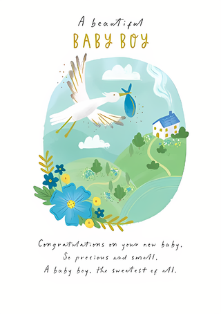 Birth Congratulations Boy - Greeting Card