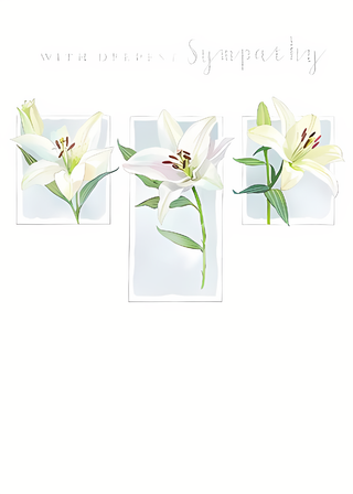 Deepest Sympathy - Greeting Card