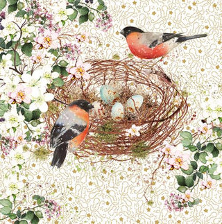 Open Birthday Female Birds Nesting - Greeting Card