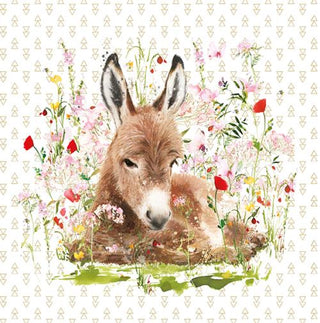 Open Birthday Female, Resting Donkey - Greeting Card