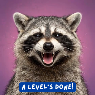 A Levels Done