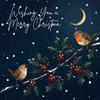 Birds Chatting Merry Christmas