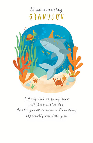 Grandson - Greeting Card