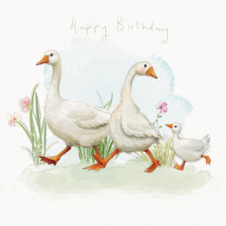 Open Birthday Female - Greeting Card