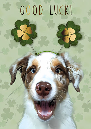 Good Luck - Greeting Card