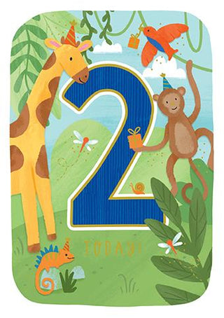 Age 2 Male - Greeting Cards