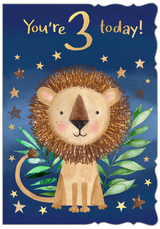 Age 3 Male - Greeting Card