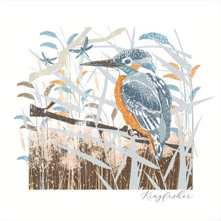 Blank - Greeting Card