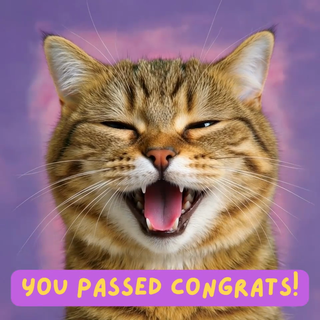 Happy Cat You Passed