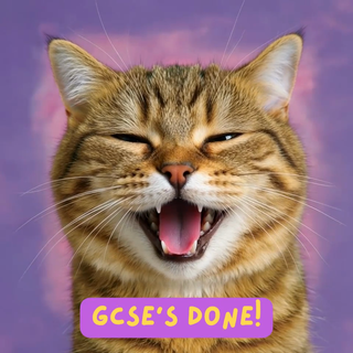 Kitty Cat Gcses Done