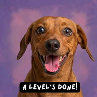 Proud Doggy Alevels Done