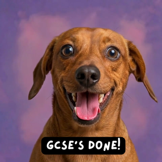 Proud Doggy Gcses Done