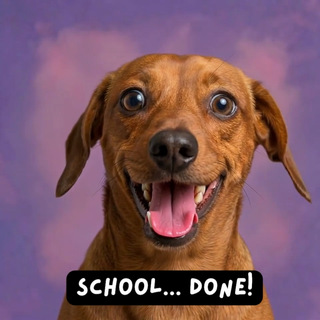 Proud Doggy School Done
