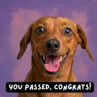 Proud Doggy You Passed