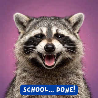 Raccoon School Done