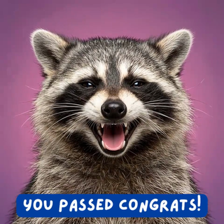Raccoon SYou Passed Congrats