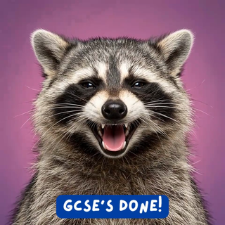 Racoon Gcses Done