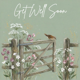 Wren Perched on Gate Get Well - Ecard