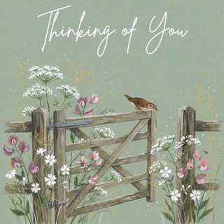 Wren Perched on Gate Thinking of You - Ecard